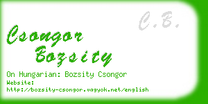 csongor bozsity business card